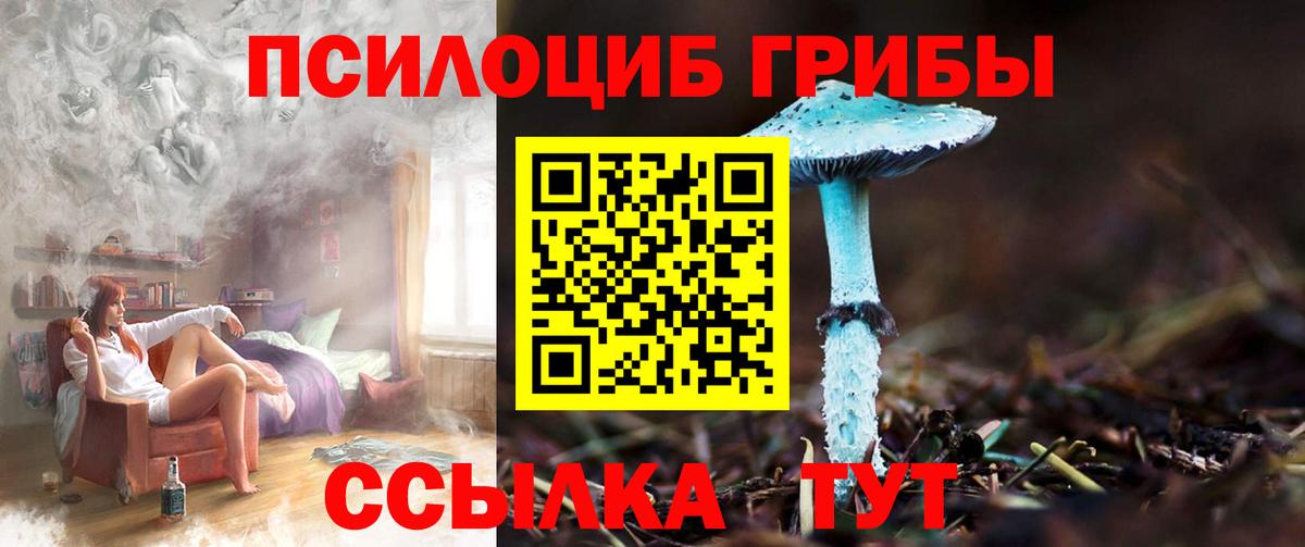 Псилоцибиновые грибы Psilocybine cubensis Семёнов